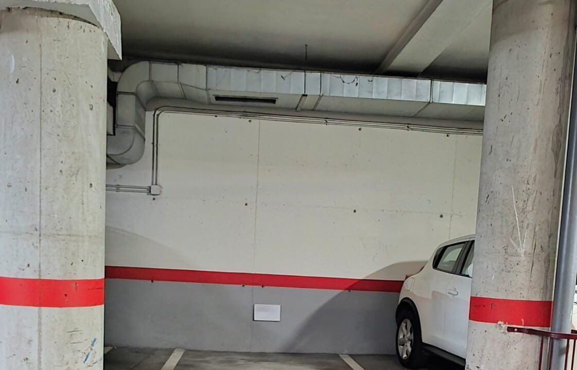 WhatsApp Image 2026-01-19 at 11.33.01