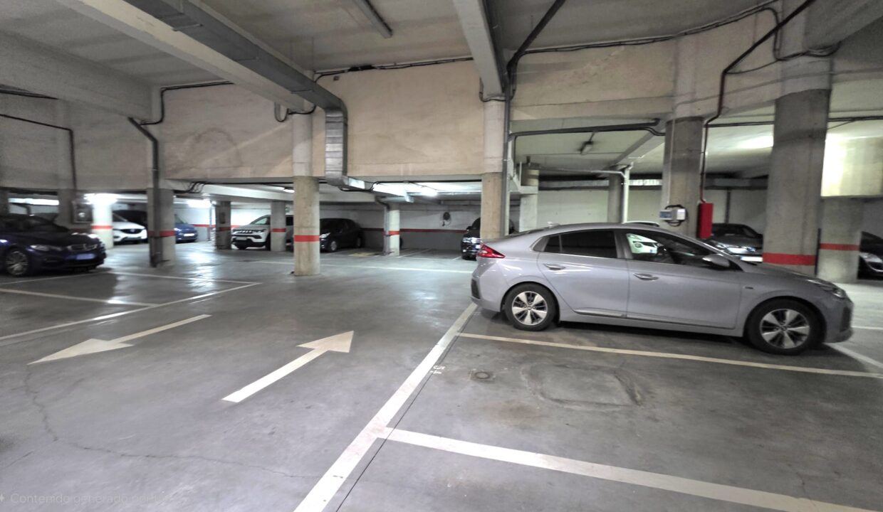 WhatsApp Image 2026-01-19 at 11.39.12