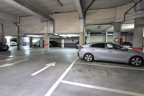 WhatsApp Image 2026-01-19 at 11.39.12