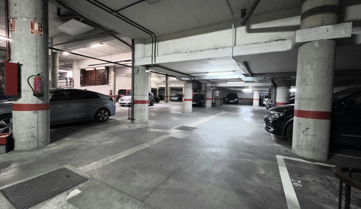 WhatsApp Image 2026-01-19 at 11.41.26