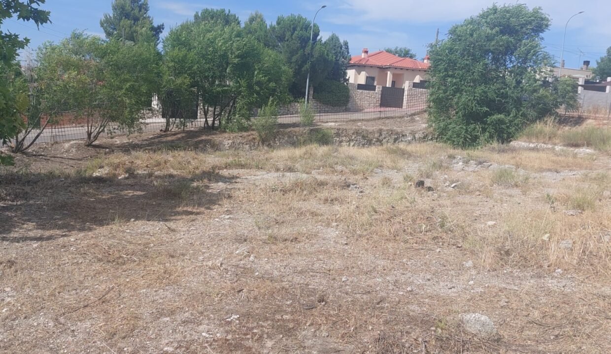 WhatsApp Image 2026-09-08 at 18.38.23 (3) - copia